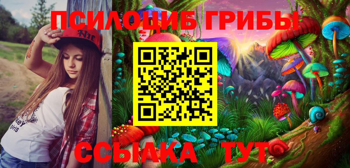 Троицк  Псилоцибиновые грибы GOLDEN TEACHER  Вход с VPN  Псилоцибиновые грибы MAGIC MUSHROOMS 